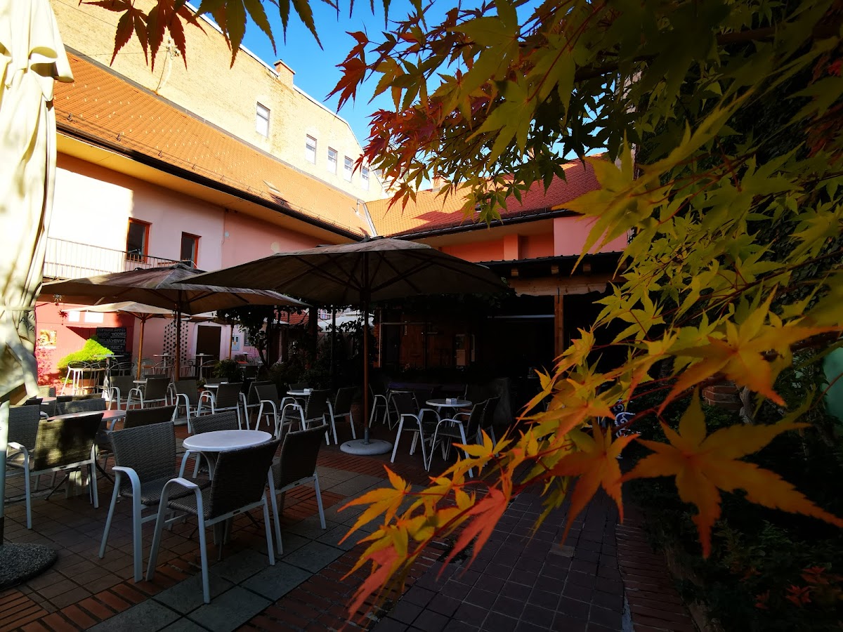 Toto Cafe Bar, Mojca Furman S.p.-4